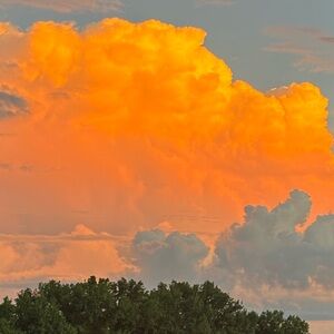 Meet your Posher, Riley